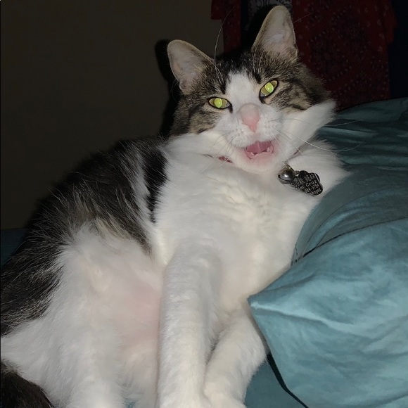 Meet your Posher, Kim - Picture 10 of 16